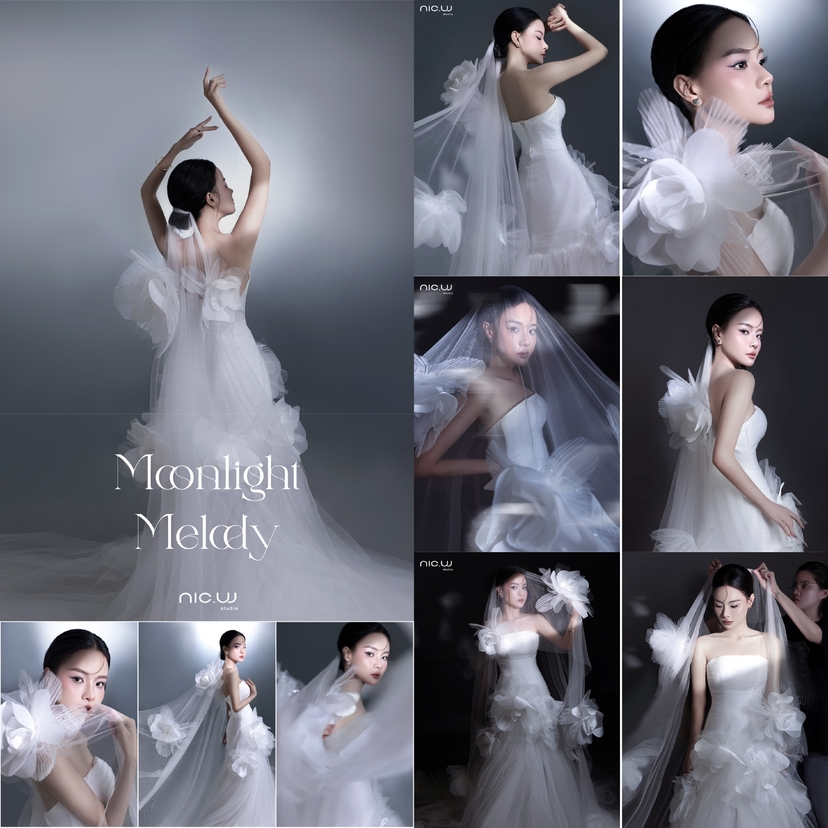 MOONLIGHT MELODY